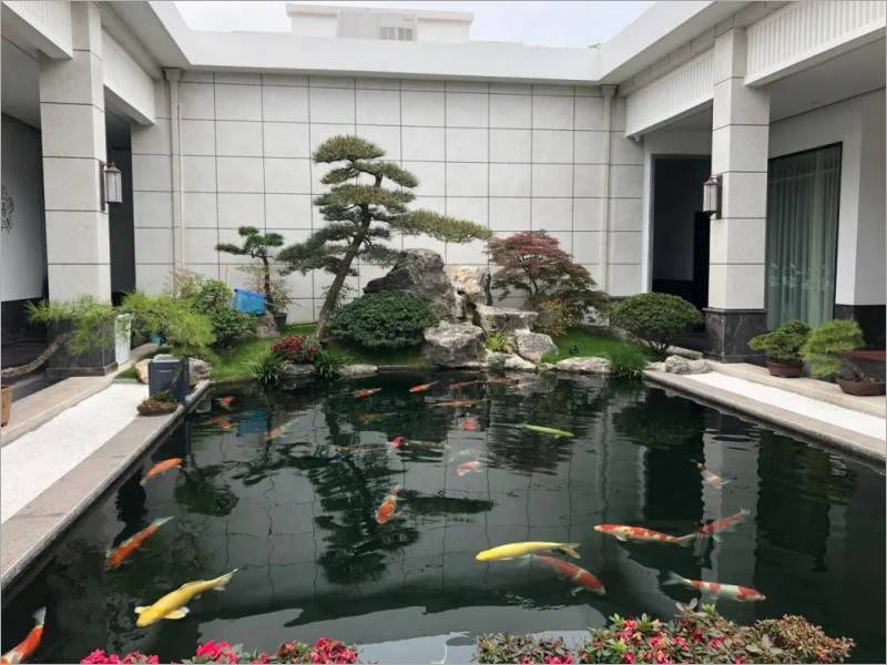 深港鱼池
